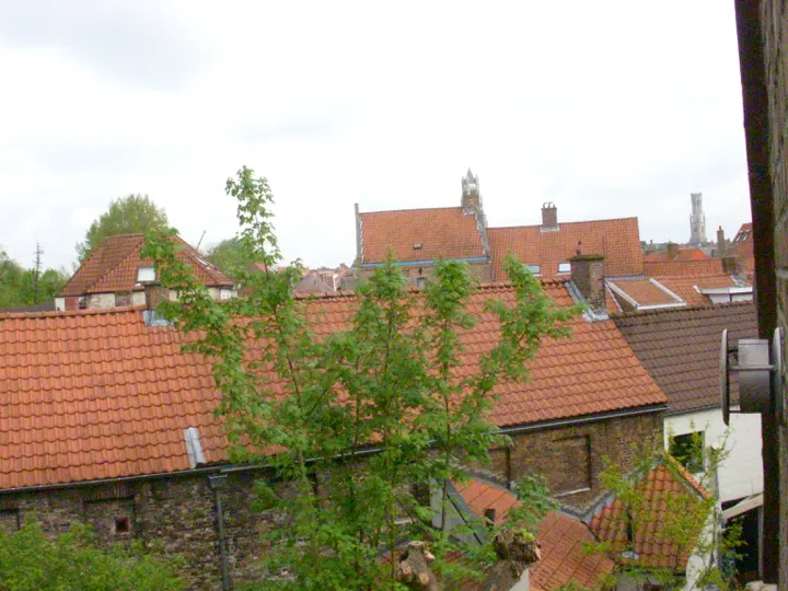 The same roofs from further back, a tower beyond