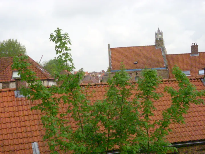 The same roofs, closer