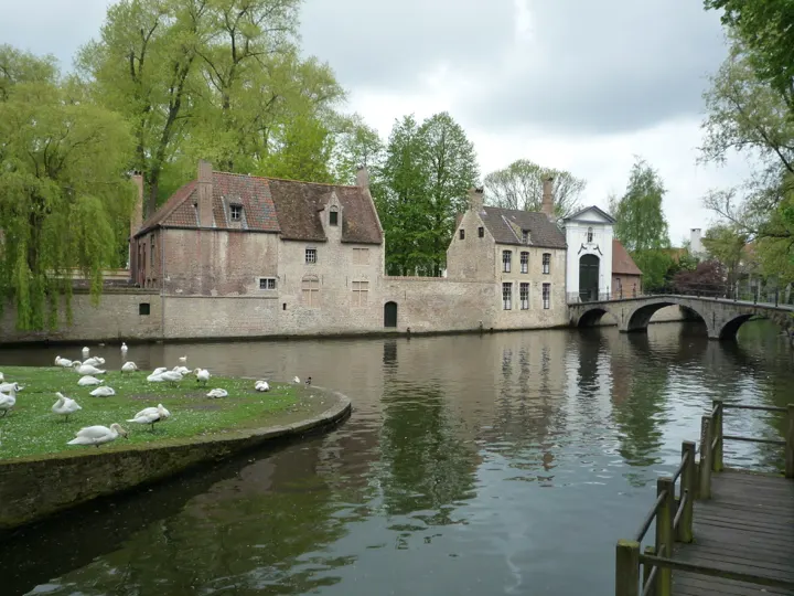 Swans by an old stone house and a bridge