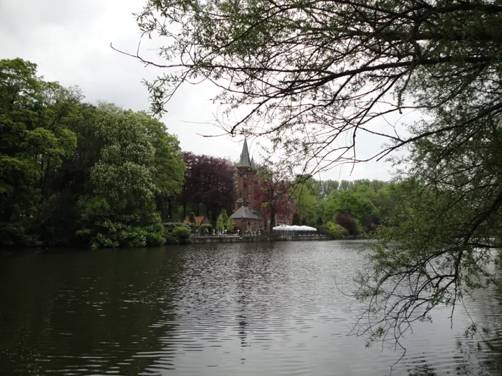 A church spire across a lake, framed by branches