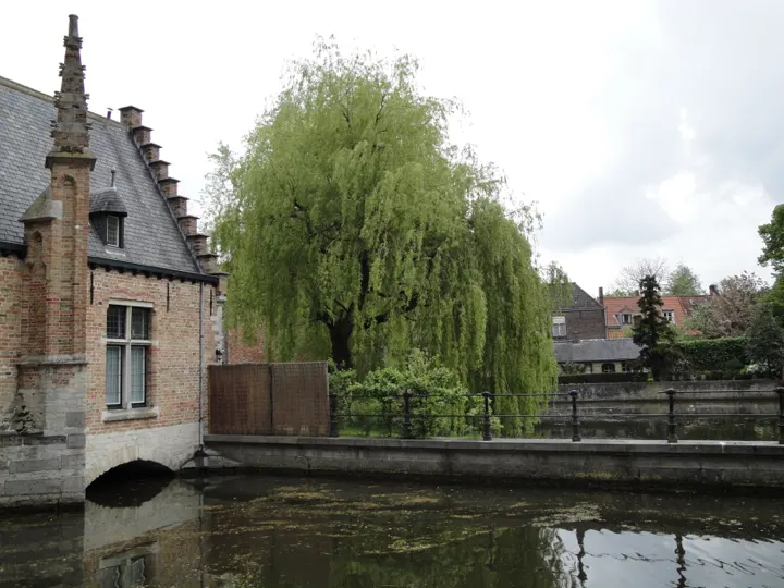 A stone house and a weeping willow over a canal