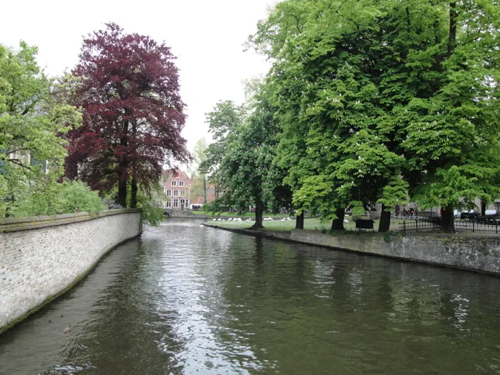 A canal under a copper beech
